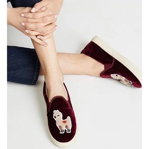 Soludos Velvet Llama Sneaker
